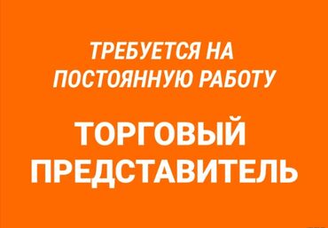 я ищу работу с личным авто: Требуется Торговый агент, График: Шестидневка, Менее года опыта, % от продаж, Работа в выходные