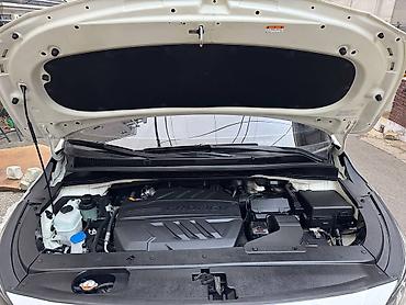 Kia: Kia Carnival: 2019 г. — 15