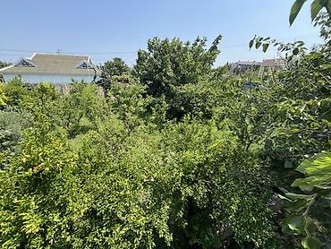 дем ал пансионат: 3 комнаты, 1200 м², Есть кредит, Средний ремонт — 9