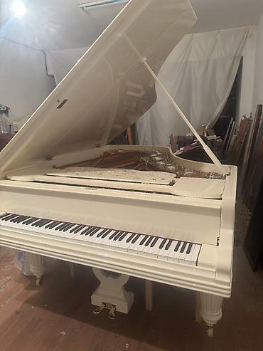 Royallar: Royal — 1