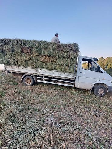 сипиринтер: Mercedes-Benz Sprinter 412D бортовой/тентованный грузовик - Тип — 3