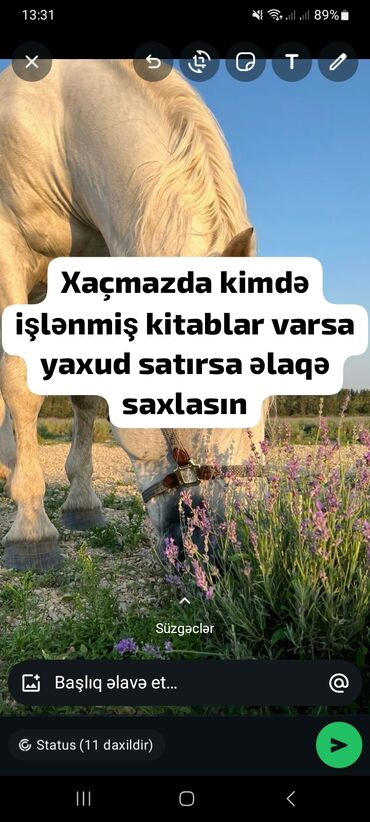 parçadan qadın mokasinlər: Münasib qiymətə olsun