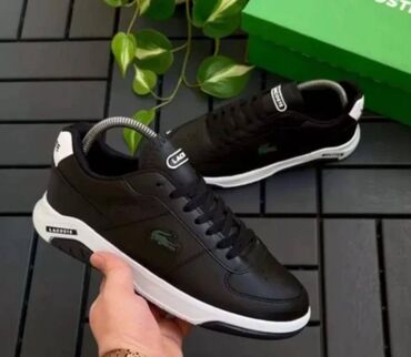 lacoste air max: Patike