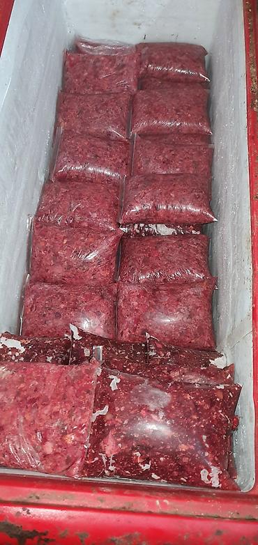 токмок собака: Мясной Фарш Говяжий для собак и кошек Состав: Печень Почки Яйца — 5