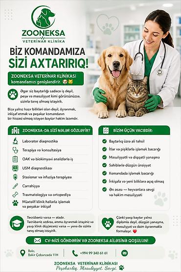 mayalı mal ustası: ZoonEKSA Veterinar Klinika – komandamıza yeni üzv axtarır! Axtarılan — 1