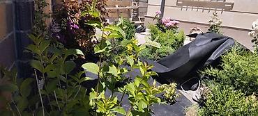 Дизайн, проектирование: Дизайн | Дома — 22