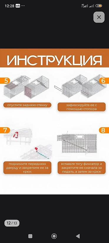 кролик бишкек: Живая ловушка-клетка для гуманного отлова животных Описание - — 6