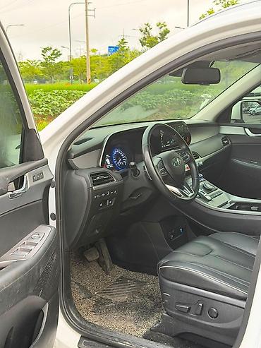 v6: Hyundai Palisade: 2021 г., 2.2 л, Автомат, Бензин, Кроссовер — 7