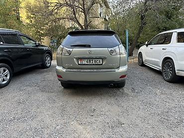 Lexus: Lexus RX: 2003 г., 3.3 л, Автомат, Бензин, Кроссовер — 6