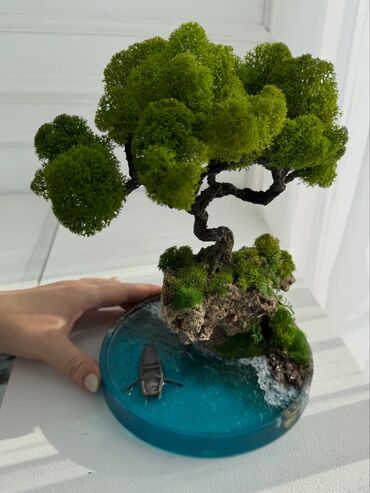 Декоративные цветы: Деревья-бонсай из натурального стабилизированного мха🌳 -это — 47