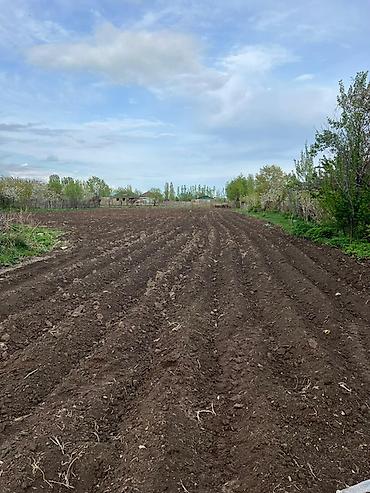Продажа коттеджей и домов: Продаётся дом в селе Григорьевка, Искульского района, Иссыкульской — 5