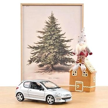 odece: Peugeot 206 RC 2003 – Aluminium Silver – Norev 🚗⚡ Norev Peugeot 206 — 1
