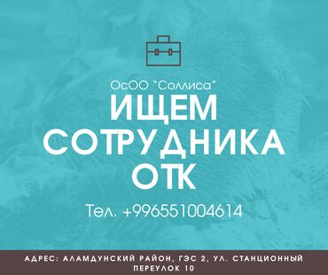 упаковщица без опыта: ОТК
