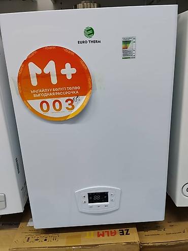 Газовый настенный котёл Euro Therm - Компактный настенный корпус с