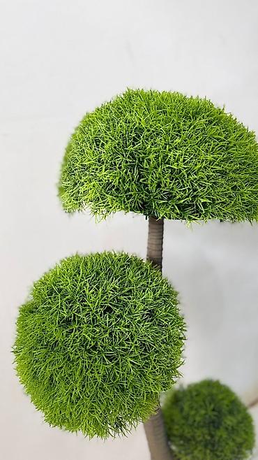bonsai: Dekorativ süni bonsai ağacı - Realistik görünüşlü, çoxgövdəli bonsai — 1