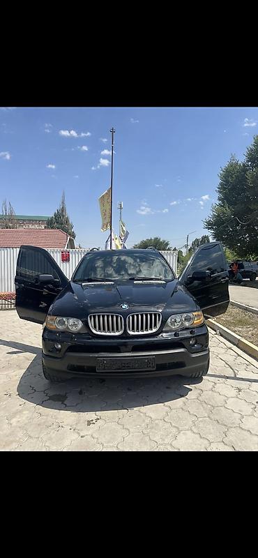 рендж: BMW X5: 2005 г., 4.6 л, Автомат, Бензин, Внедорожник — 1