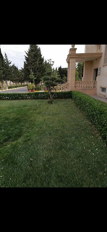 lan: Bağban, 44 yaş, 5 ildən artıq təcrübə — 10