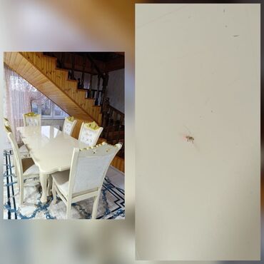 Masalar: Qonaq otağı üçün, İşlənmiş, 6 stul