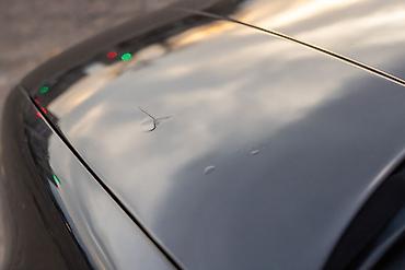 Volkswagen: Volkswagen Golf Variant: 2002 г., 2 л, Автомат, Бензин, Универсал — 16