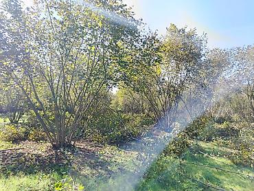 caravan satışı: 54 sot, Kənd təsərrüfatı, Kupça (Çıxarış) — 8