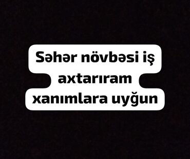 Təhsil, elm: İş axtarıram