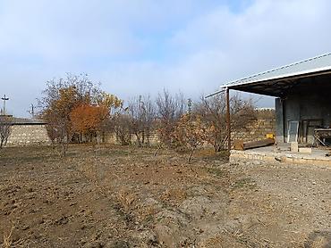 Torpaq sahələrinin satışı: 25 sot, Kənd təsərrüfatı, Mülkiyyətçi, Kupça (Çıxarış) -da lalafo.az — 21 Torpaq sahələrinin satışı: 25 sot, Kənd təsərrüfatı, Mülkiyyətçi, Kupça (Çıxarış) — 21