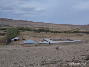 Сельхоз предприятия: Продаётся кашар с полностью огороженным участком площадью 4,5 га. На — 12