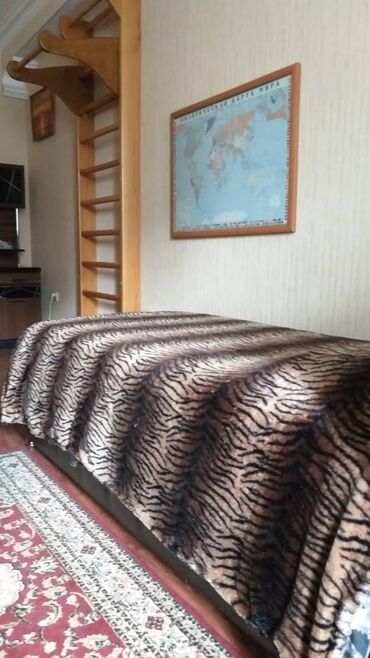 Uzunmüddətli kirayə mənzillər: Yasamal rayonu, Nizami metrosunun yaxını, Dövlət Statistika — 7