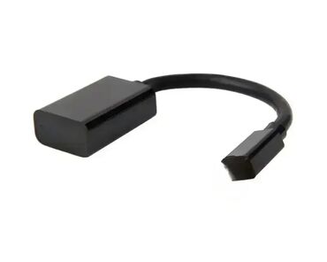 prodaja monitora: Linkom Adapter Mini DisplayPort – DisplayPort M/F (crni) Povežite
