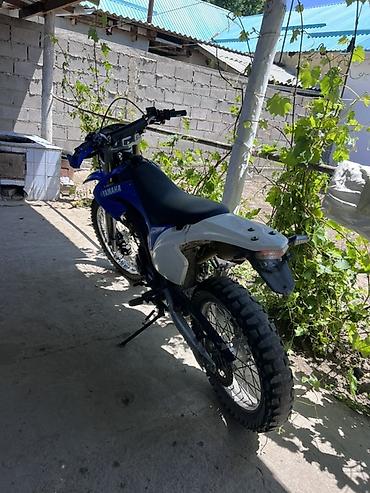 Мотоциклы: Эндуро Yamaha, 250 куб. см, Бензин, Взрослый, Б/у — 1