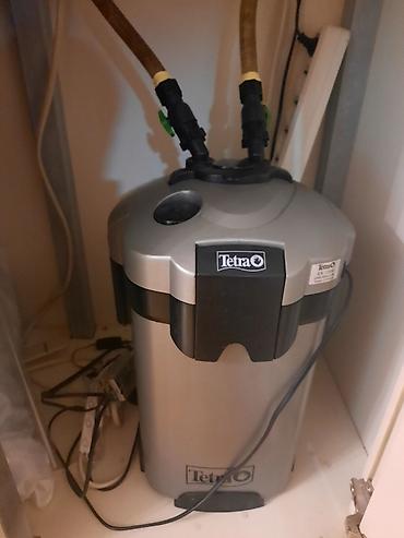 beta balığı qiymət: Mebelle dest satilir filtr tetra tech 1200 qizdirici tetra 300w hava — 2