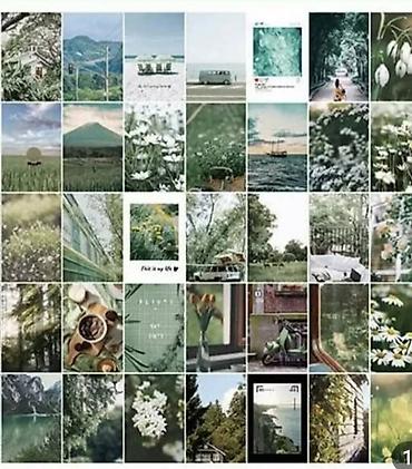Другие предметы коллекционирования: Albom stickerlər. Hər biri təzədir. 6 fərqli rəngi var. Şəxsi biznes — 2
