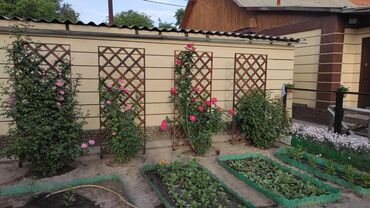 Деревянные заборы: Декоративная деревянная решетка, идеально подходящая для использования — 8