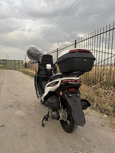 t max: Скутер Макси 0 пробег! Новый! Защиткой - Кузов спортивного стиля — 5