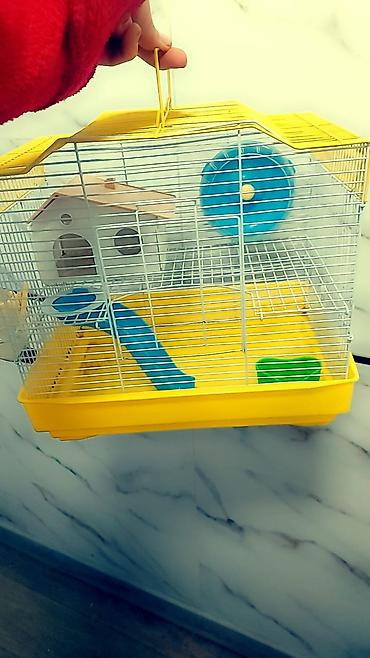 Зоотовары: Клетки для хомяков с комплектом аксессуаров. Варианты: - — 6