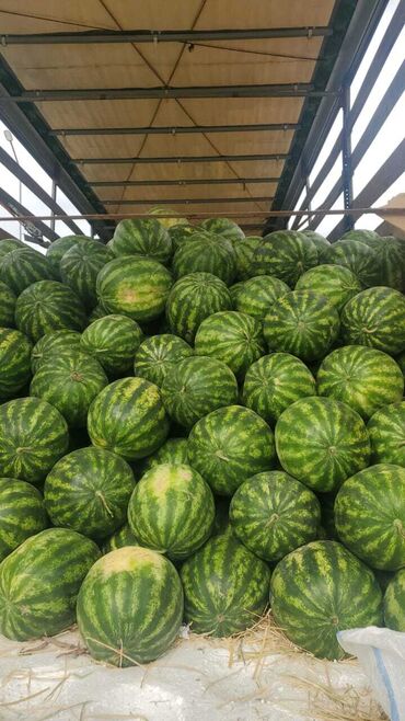продам клубнику: Арбузы Оптом