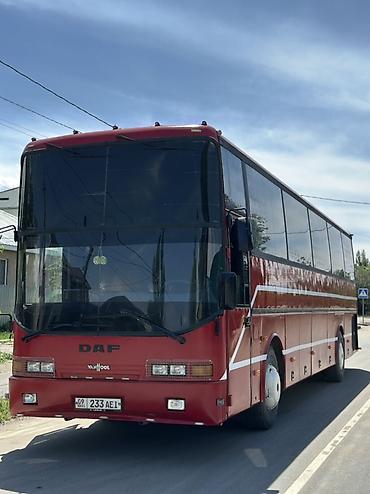 лайнеры: Автобус, DAF, 40 и более мест — 2