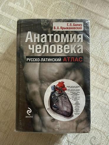 Медицина: Анатомия человека. Русско‑латинский атлас — Г. Л. Билич, В. А — 1