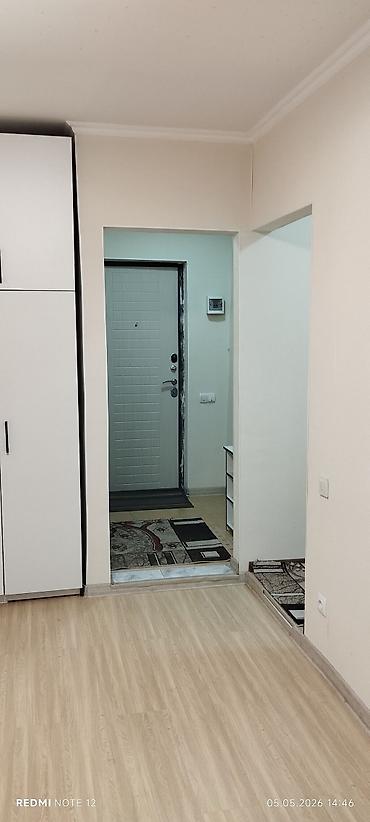 окончательно: 1 комната, 25 м², Мед Академия 5 этаж, Свежий ремонт — 3