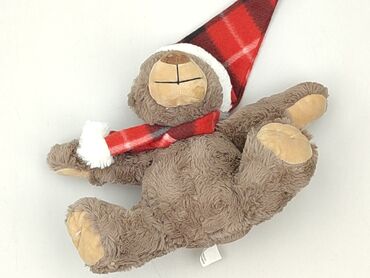 Mascot Teddy bear, condition - Perfect