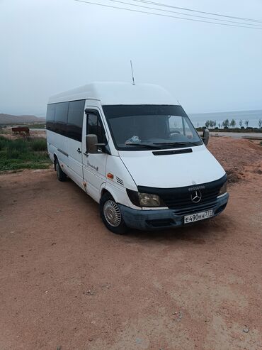 купить сеат альхамбра: Автобус, Mercedes-Benz, до 15 мест
