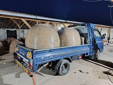 Очок: Тандыры Больше 6 лет опыта — 19