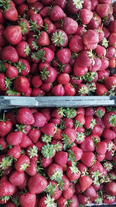 как открыть ип в кыргызстане для wildberries: Клубника бар. клубника шоколаде жасагандар болсо,чалгыла