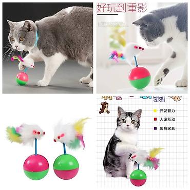 Зоотовары: Продаю новые в отличном качестве лотки крытые и открытые,а так же at lalafo.kg — 7 Зоотовары: Продаю новые в отличном качестве лотки крытые и открытые,а так же — 7