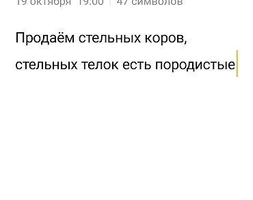 продам корову: Продаю | Корова (самка) | Для молока — 1
