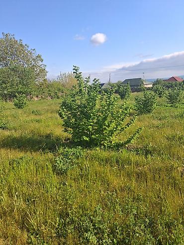 Torpaq sahələrinin satışı: Tikinti — 28