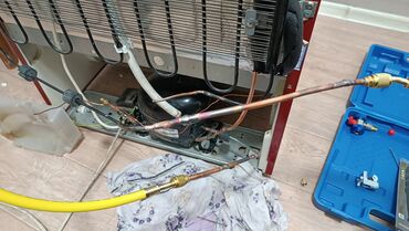 Ремонт холодильников, морозильников: Ремонт холодильников и морозильников и стиральных машин всех марок — 7