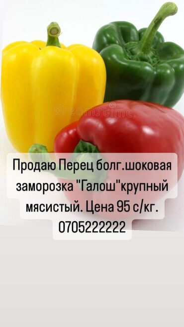 сосиски оптом: Замороженные овощи, Перец, Шоковая, Оптом