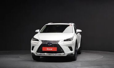 Lexus: Lexus NX: 2020 г., 2.5 л, Автомат, Бензин, Кроссовер at lalafo.kg — 3 Lexus: Lexus NX: 2020 г., 2.5 л, Автомат, Бензин, Кроссовер — 3