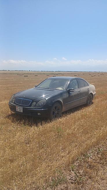 выбор номера о: Mercedes-Benz E-Class: 2003 г., 2.7 л, Автомат, Дизель, Седан — 7